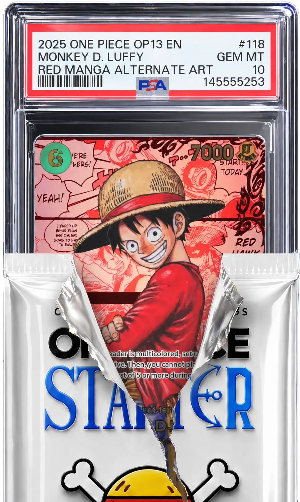 One Piece Pack