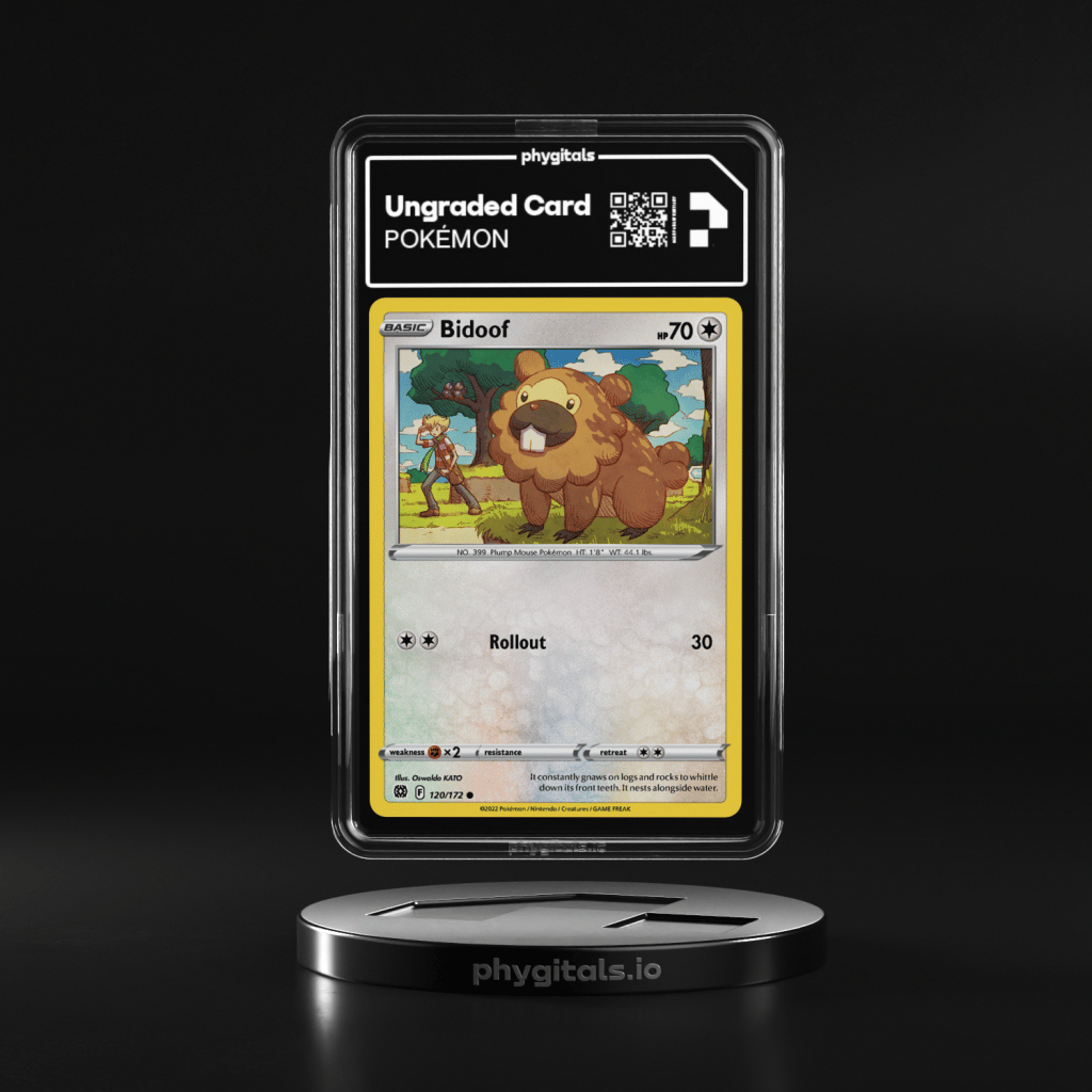 2022 Bidoof Brilliant Stars #120 - Main Image